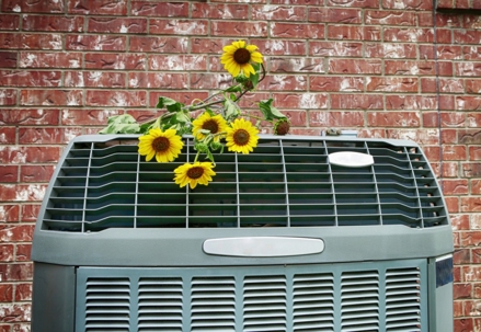 flowers and an ac unit